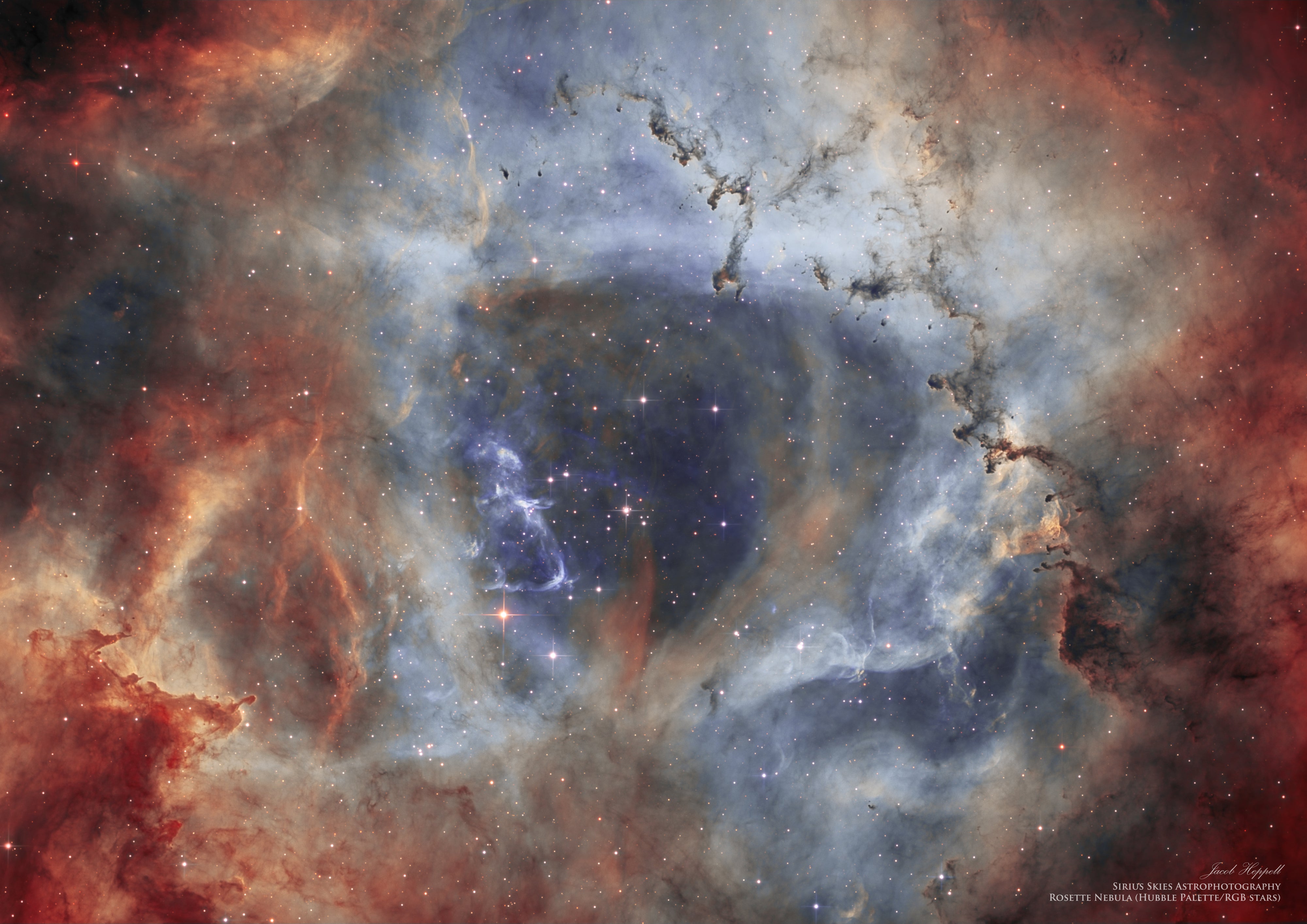 rosette nebula hubble palette