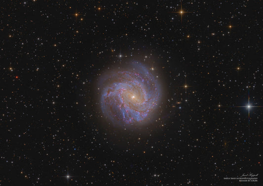 Southern Pinwheel Galaxy (Messier 83)