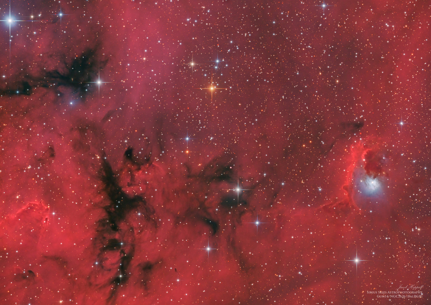 Gum 14-NGC2626